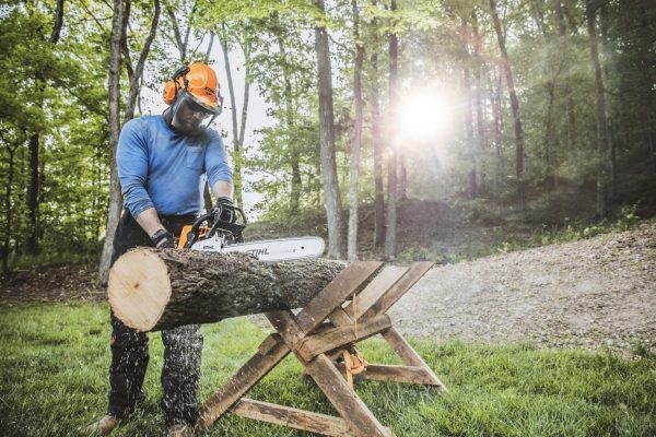 MS 250 STIHL PETROL CHAINSAW - Image 3
