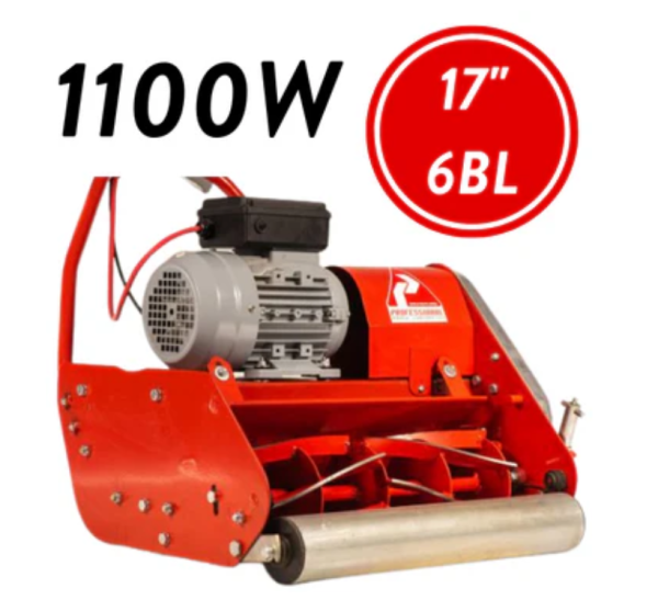 PROF 17'' CYL MOWER B&S550 6BL